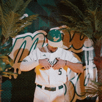 South Florida Baseball GIF by USF Athletics