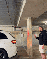 New Zealand Nz GIF