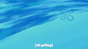 season 9 episode 26 GIF by SpongeBob SquarePants