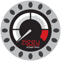 Perfection Meter Sticker by Ziggy BBQ NZ