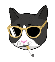 So What Ok Sticker