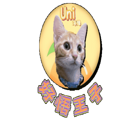 petso-llp logo orange pet line Sticker
