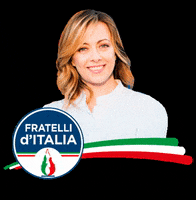 fratelli_italia giorgia meloni fratelli ditalia GIF