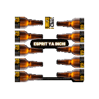 Beer Congo Sticker by Brasimba