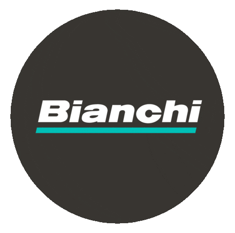 Ibf Sticker by Bianchi
