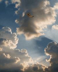 House Law GIF by America.co