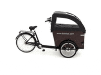babboe_cargobike dog transporter cargobike bakfiets GIF