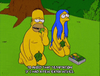 homer simpson GIF