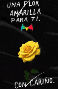 Para Ti Rosa GIF by Murcianys LLC