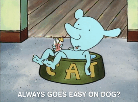 nicksplat GIF