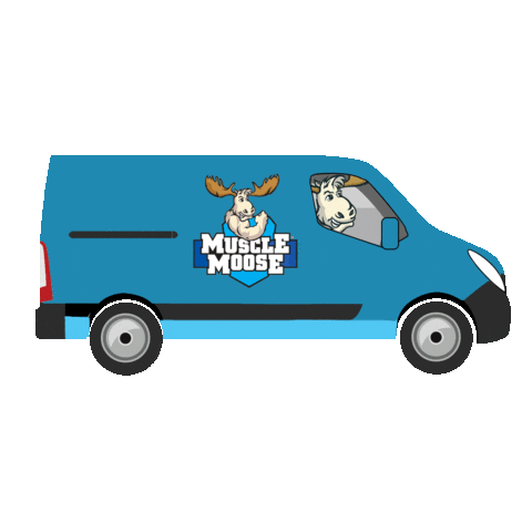 Car Driving Sticker by MuscleMooseHQ