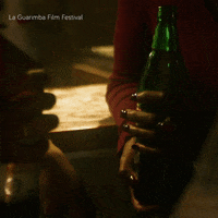 Drunk Going Out GIF by La Guarimba Film Festival