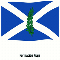 Flag Spain GIF by Formación Ninja