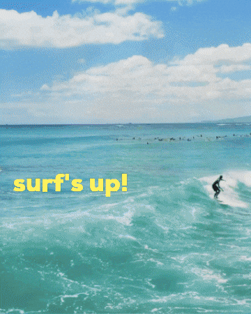 Surfs Up Surfing GIF by STARCUTOUTSUK