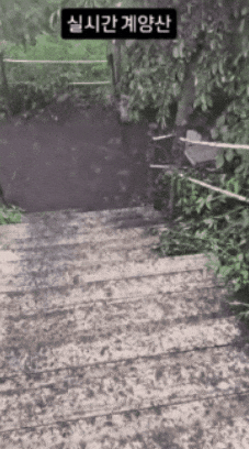c742c96ae50b453ca3fb75a1c5021c8c giphygifmaker GIF