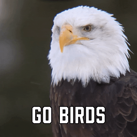 Video gif. Eagle looks around, opening and closing its beak like it's talking. Text, "Go birds."