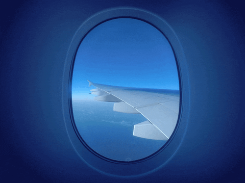 window plane GIF