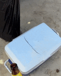 Refreshing Ice Cold GIF