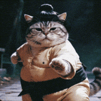 OrbitPaws omg comedy fail oh no GIF