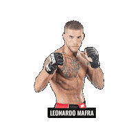 Mma Fighter Sticker by BRAVE Combat Federation