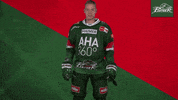 Celebration Goal GIF by Augsburger Panther Eishockey GmbH