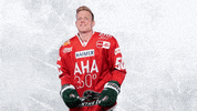 Hockey Del GIF by Augsburger Panther Eishockey GmbH