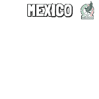 World Cup Football Sticker by Pudgy Penguins