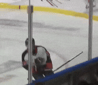 Whl GIF
