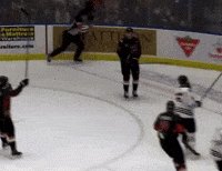 Whl GIF