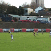 Hawthorn Hawks Afl GIF
