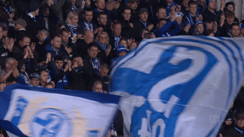 Football Soccer GIF by FC Schalke 04