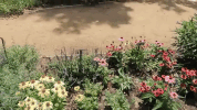 oklahoma GIF