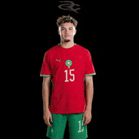 Fifa World Cup Morocco GIF by Respective