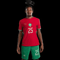 Fifa World Cup Morocco GIF by Respective