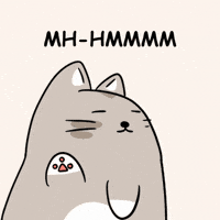 Cat No GIF by MESA My Emotional Support Animal