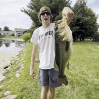 Fish Fishing GIF