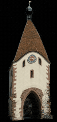 GIF by andreanderswo