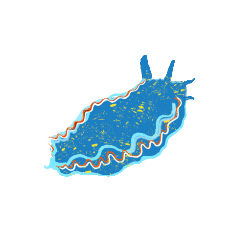 peachbabystudio giphygifmaker animal peachbaby nudibranch Sticker