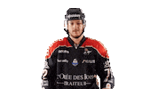 Celebration Kiss Sticker by Les Ducs d'Angers
