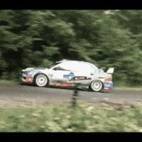 Rally Mitsubishi GIF