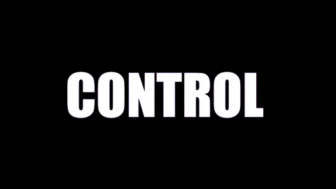 lesfabianbrathwaite giphygifmaker control janet jackson GIF