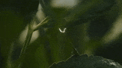 GIF by RiTE Media