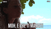 e vedi che ti mangi canale 5 GIF by Isola dei Famosi