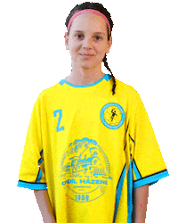 Handball Hazena Sticker by Házená Louny