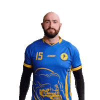 Handball Celebrate Sticker by Házená Louny