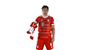 Leon Goretzka Win Sticker by FC Bayern Munich