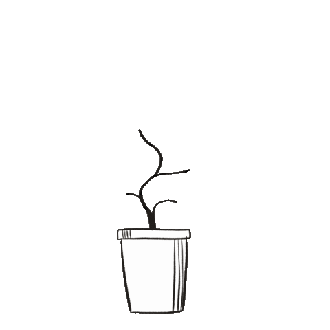 nicsquirrell spring plant plants garden Sticker
