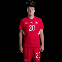 Fifa World Cup Switzerland GIF by Respective