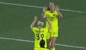 Washingtonspirit GIF by National Women's Soccer League