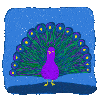 Illustration Bird GIF